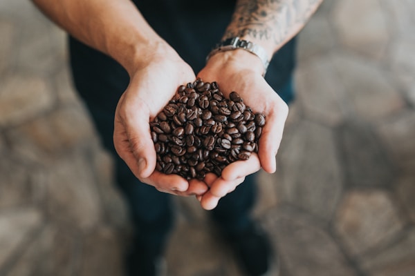THE END OF COFFEE: COULD AUSTRALIA SAVE THE WORLD’S BEANS?