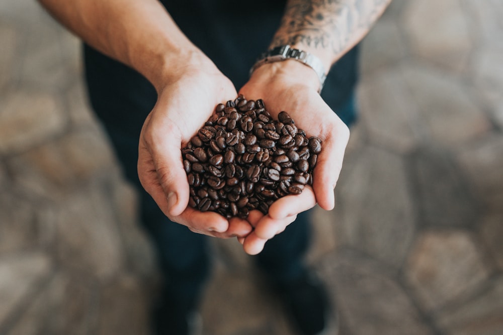 person holding bunch of coffee beans