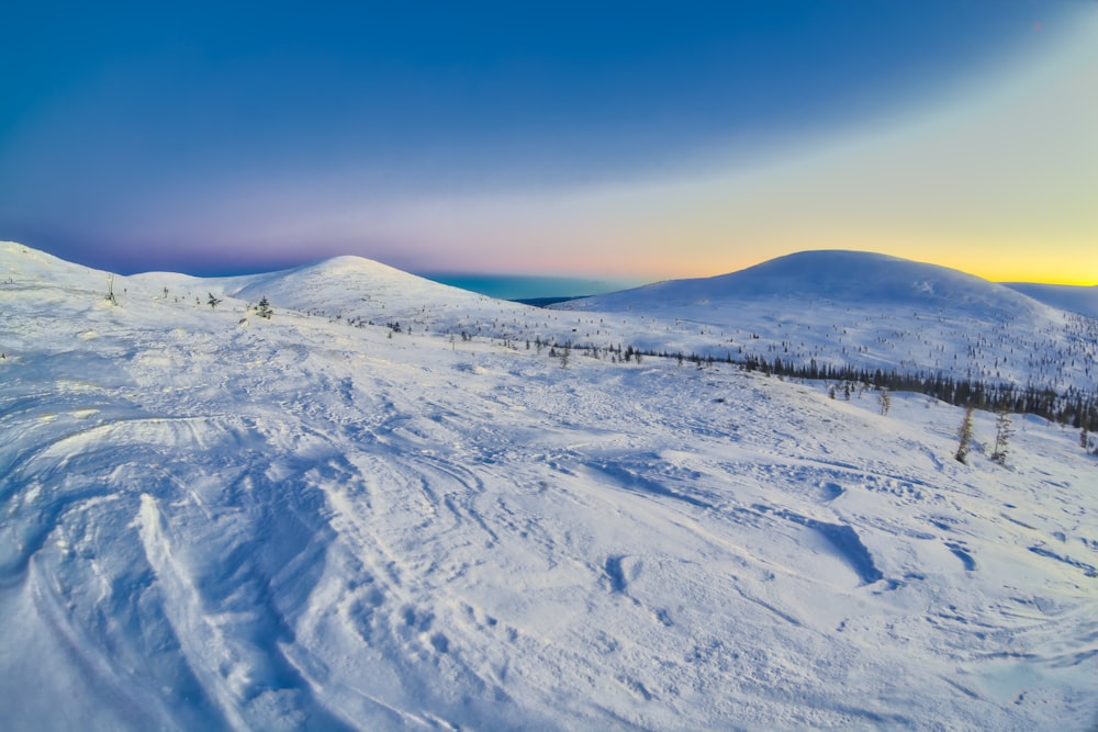 昼間の雪原の写真