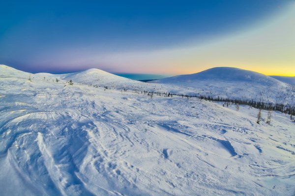 Snow-loaded trees on the fell in deep winter — Ruka, Finland