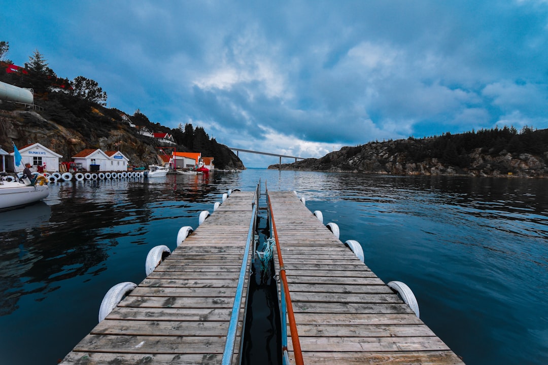 brown sea dock