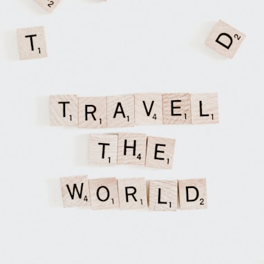 travel the world