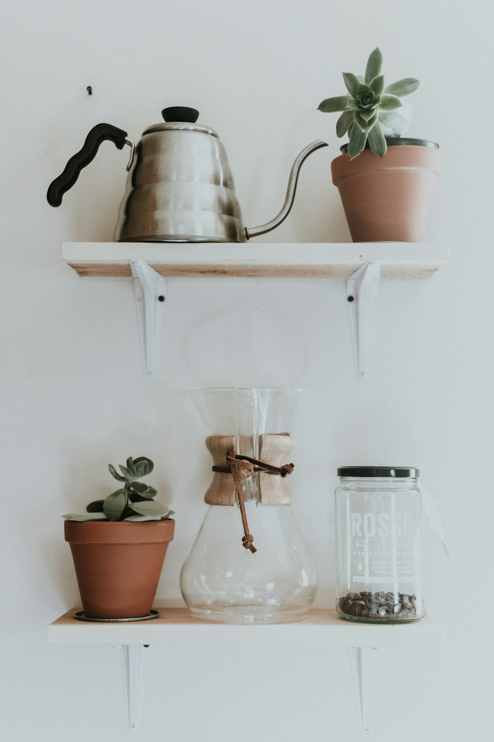 succulent plants beside glass pitcher