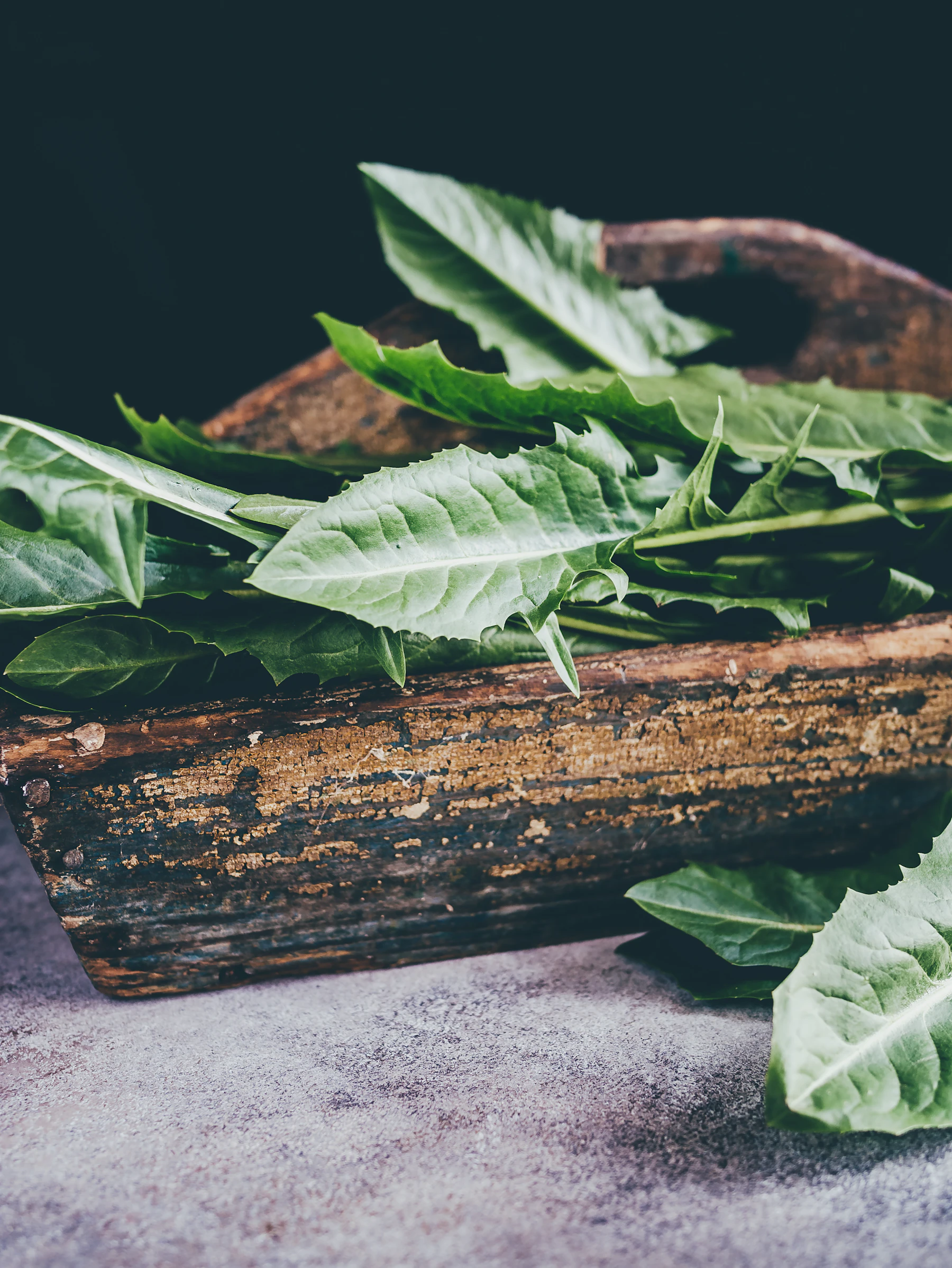 Long, toothed green leaves piled in a weathered wooden trug against a dark background
