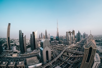 aerial photography of skyway and city building