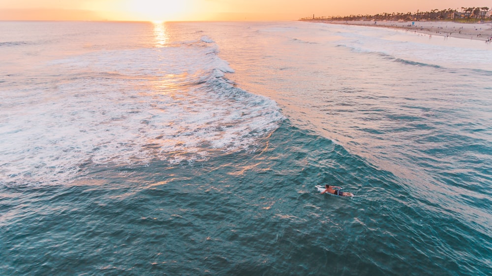 person riding on knee board on body of water