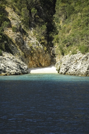 A secluded turquoise beach in Montenegro framed by rugged cliffs and pine trees.