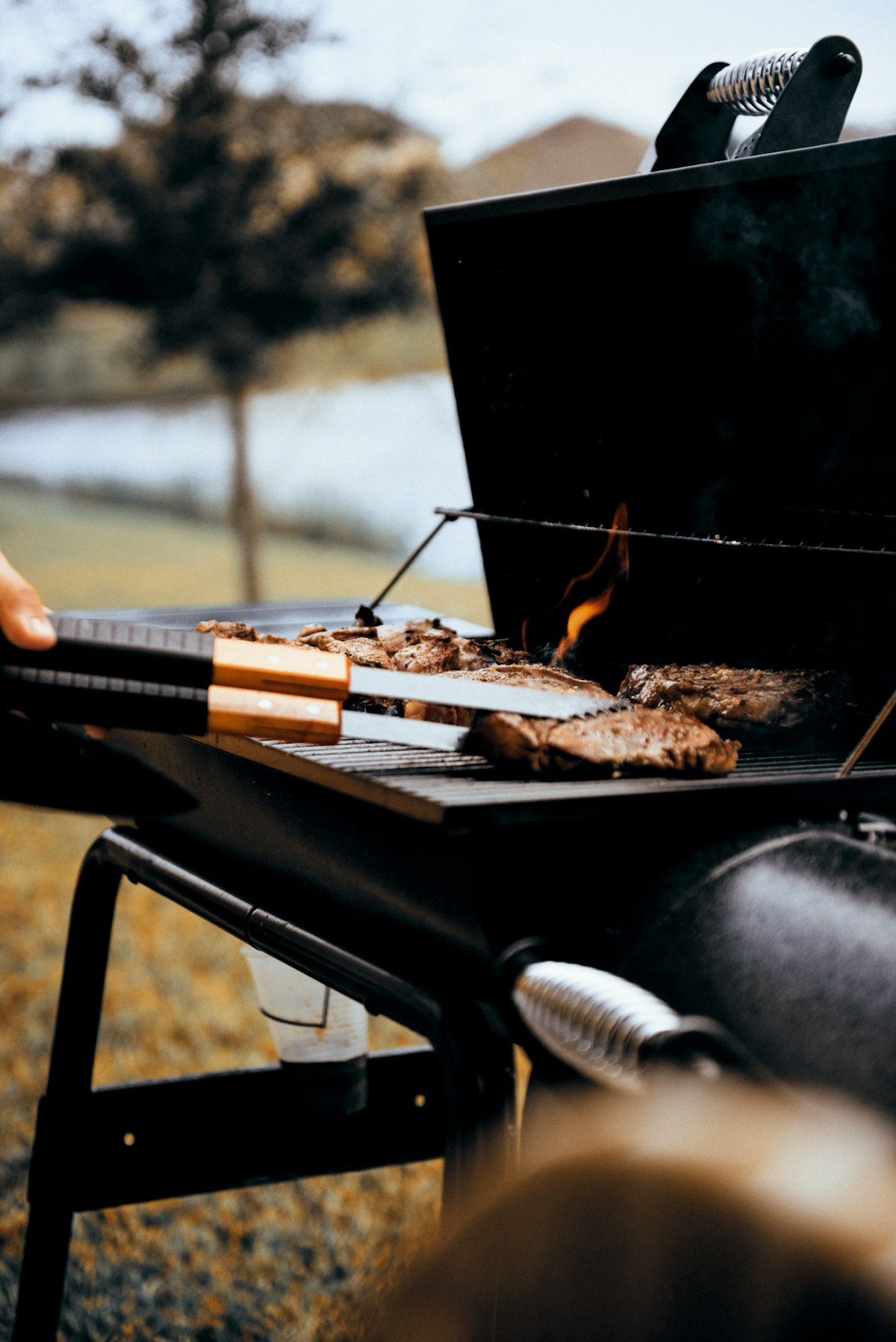 Cortes de carne asándose sobre una parrilla a carbón al aire libre con llamas