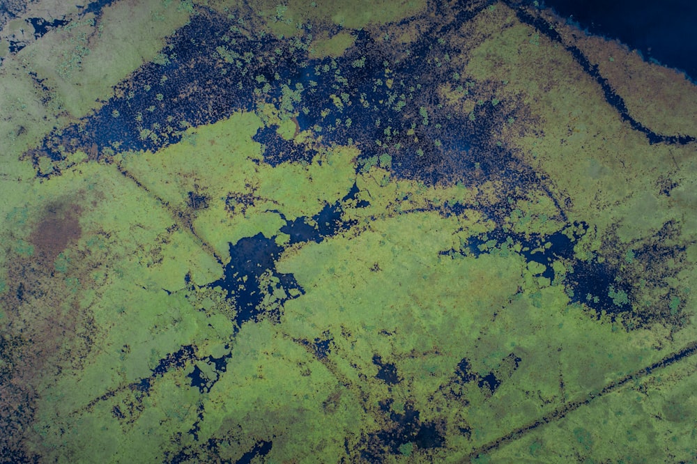 緑と青のエリアの航空写真