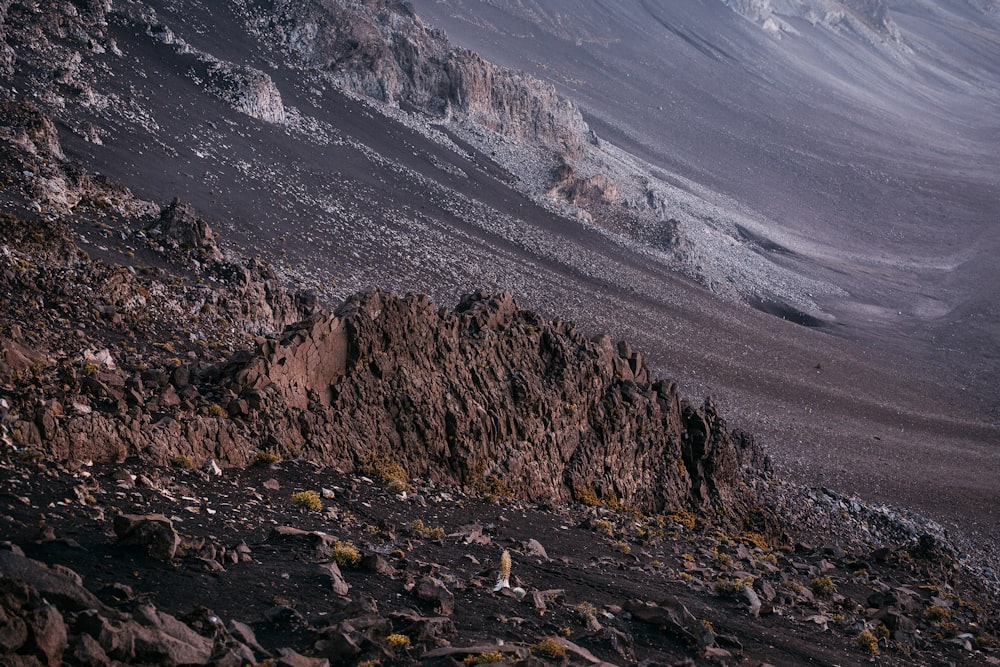 photographie de paysage de montagne