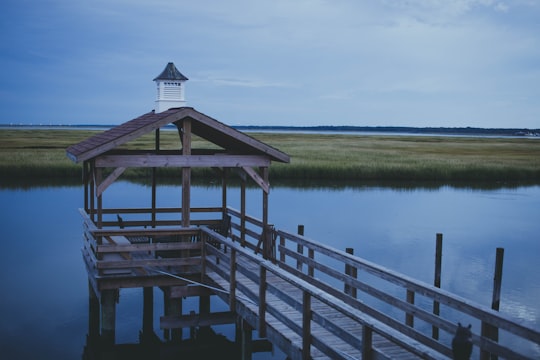 gray wooden dock near body of water viewing green rice field under blue and white sky during daytime in Cape May United States