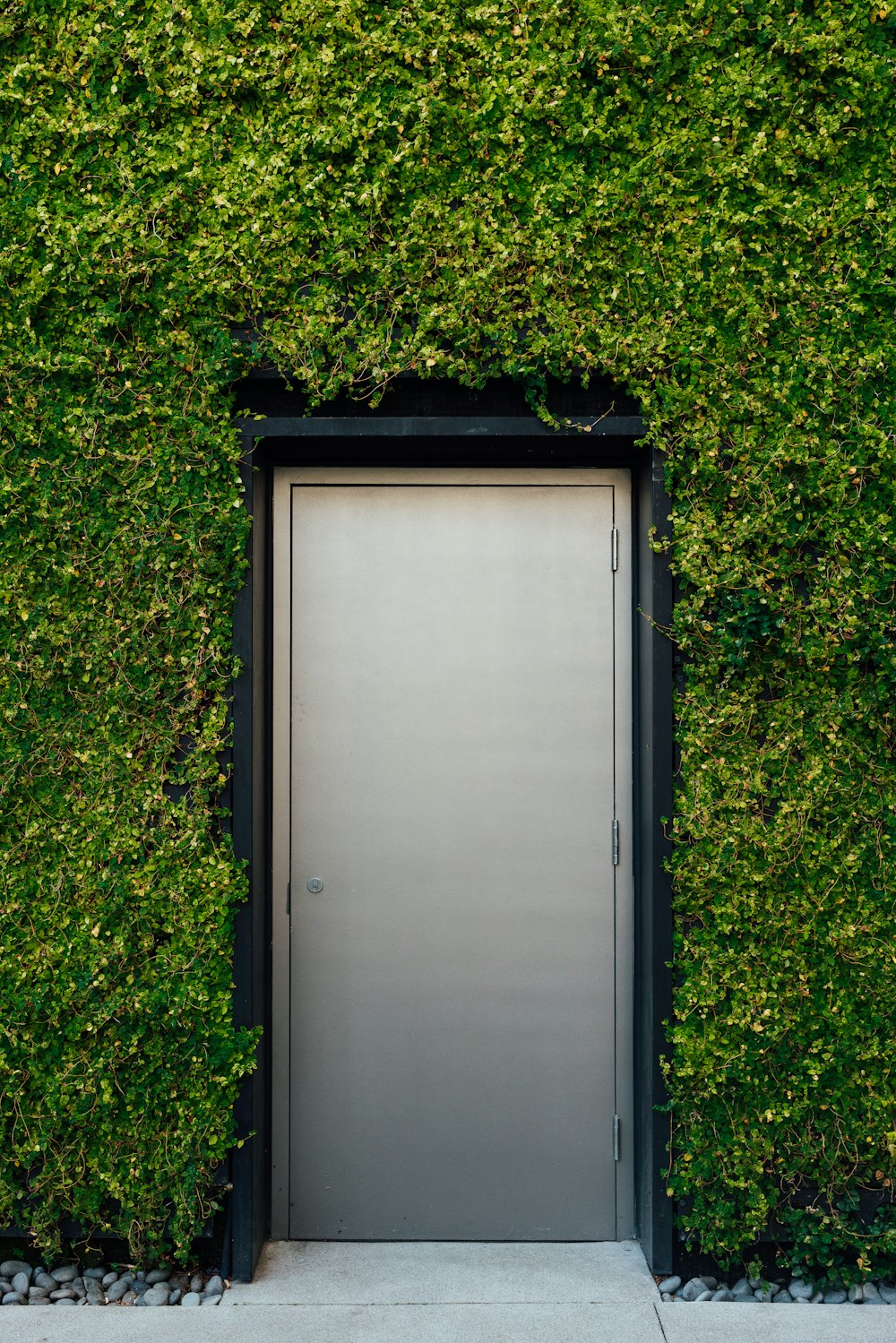 une porte est entourée d’un mur végétal