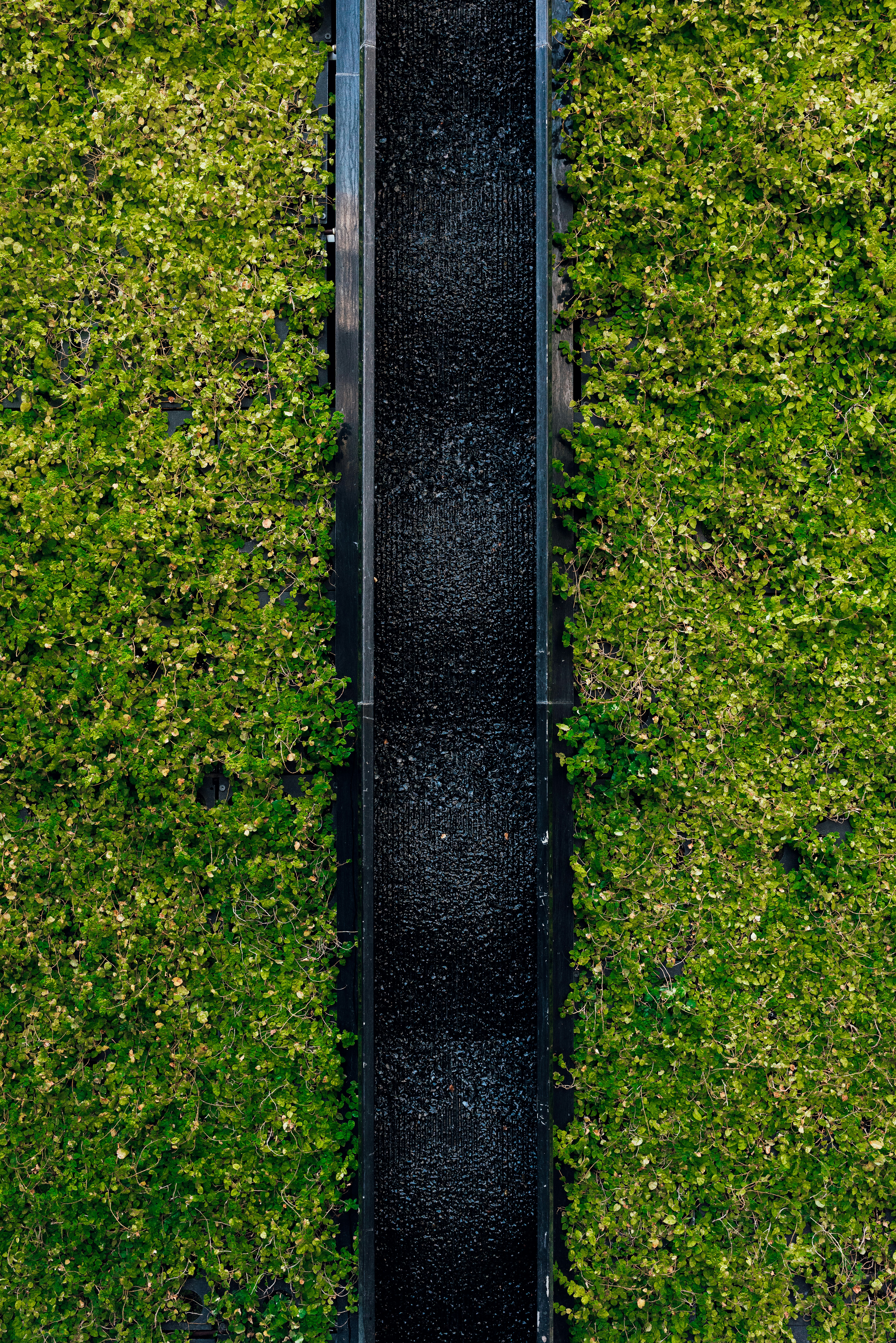 Photo by thommilkovic