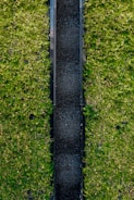 A beautiful vertical garden installation showcasing lush greenery.