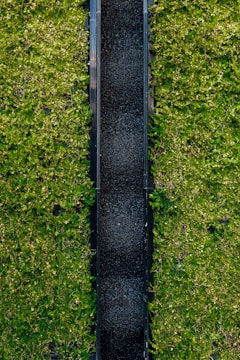 A beautiful vertical garden installation showcasing lush greenery.