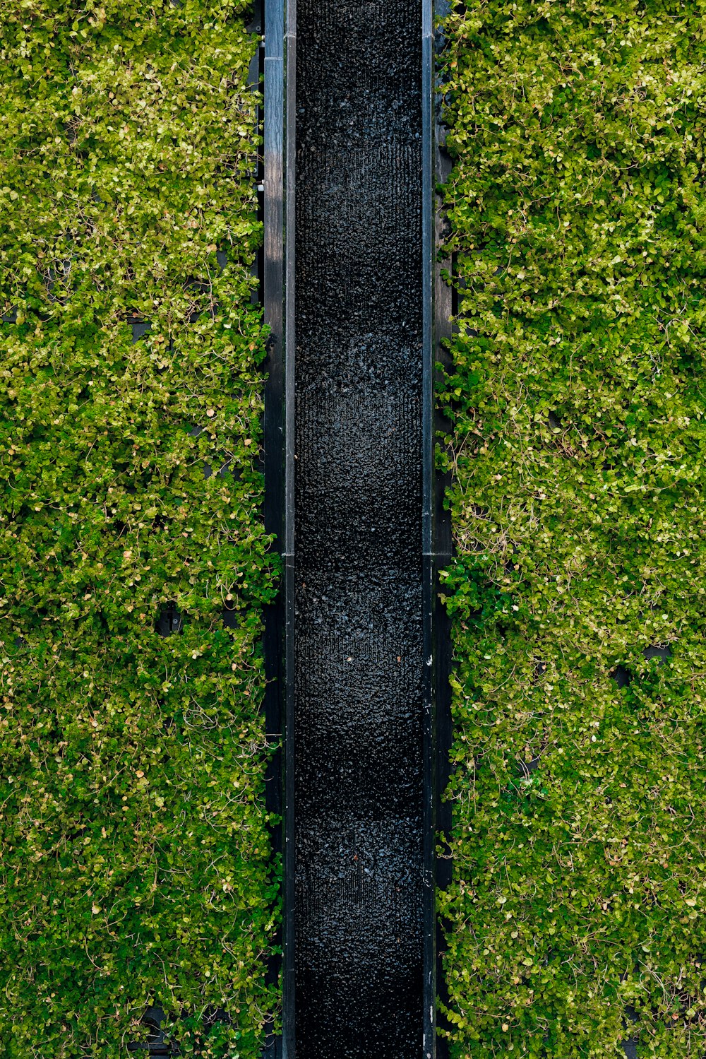 an overhead view of a walkway in a field of grass
