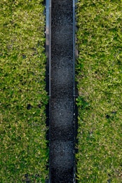 A vertical garden featuring dense green foliage surrounding a central black panel. The leaves appear lush and vibrant, contrasting with the sleek dark surface in the middle.