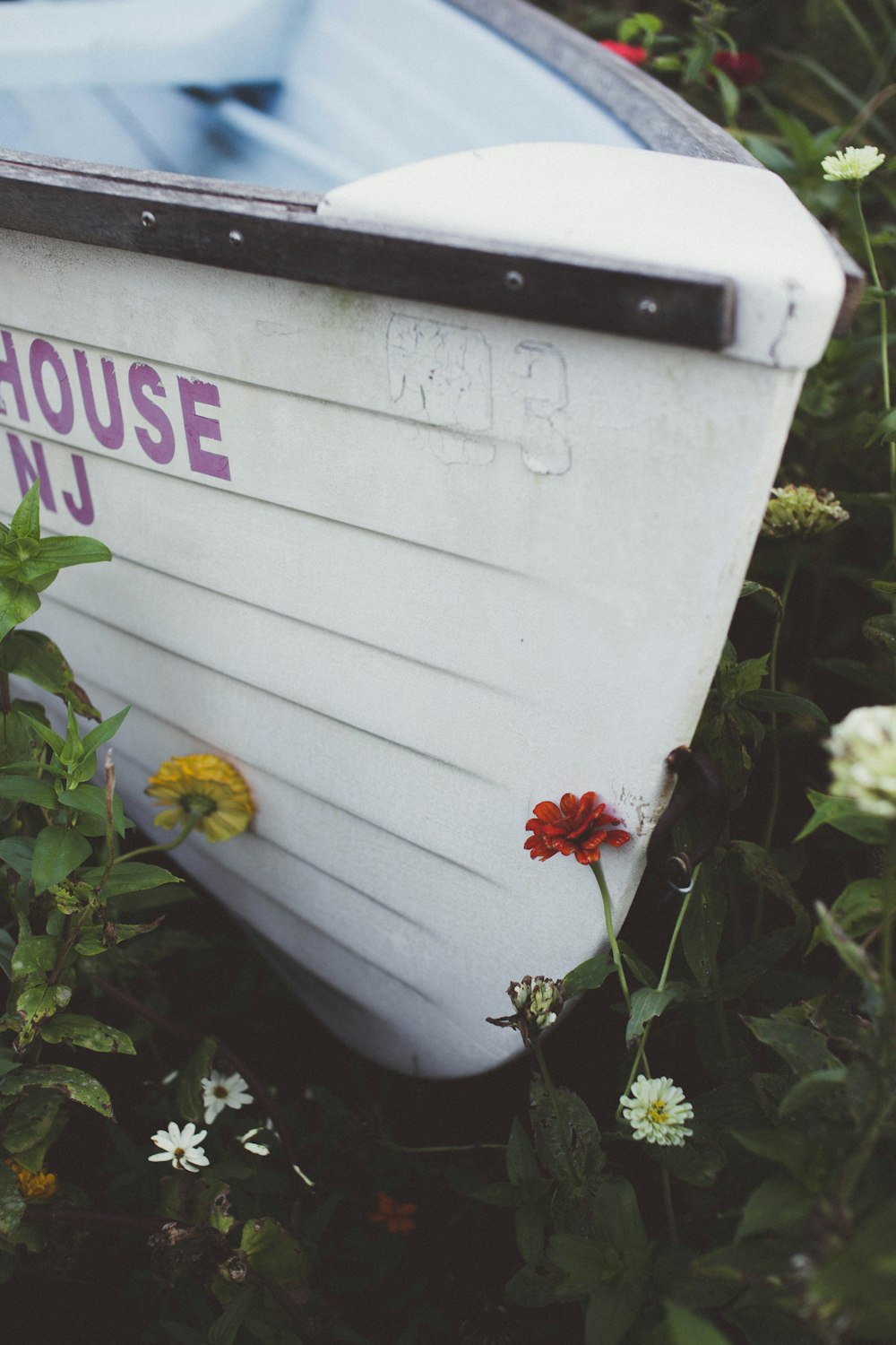 flowers around white boat