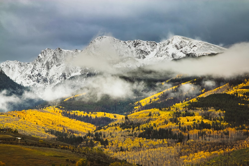 Photo de montagnes couvertes de neige et de brouillards