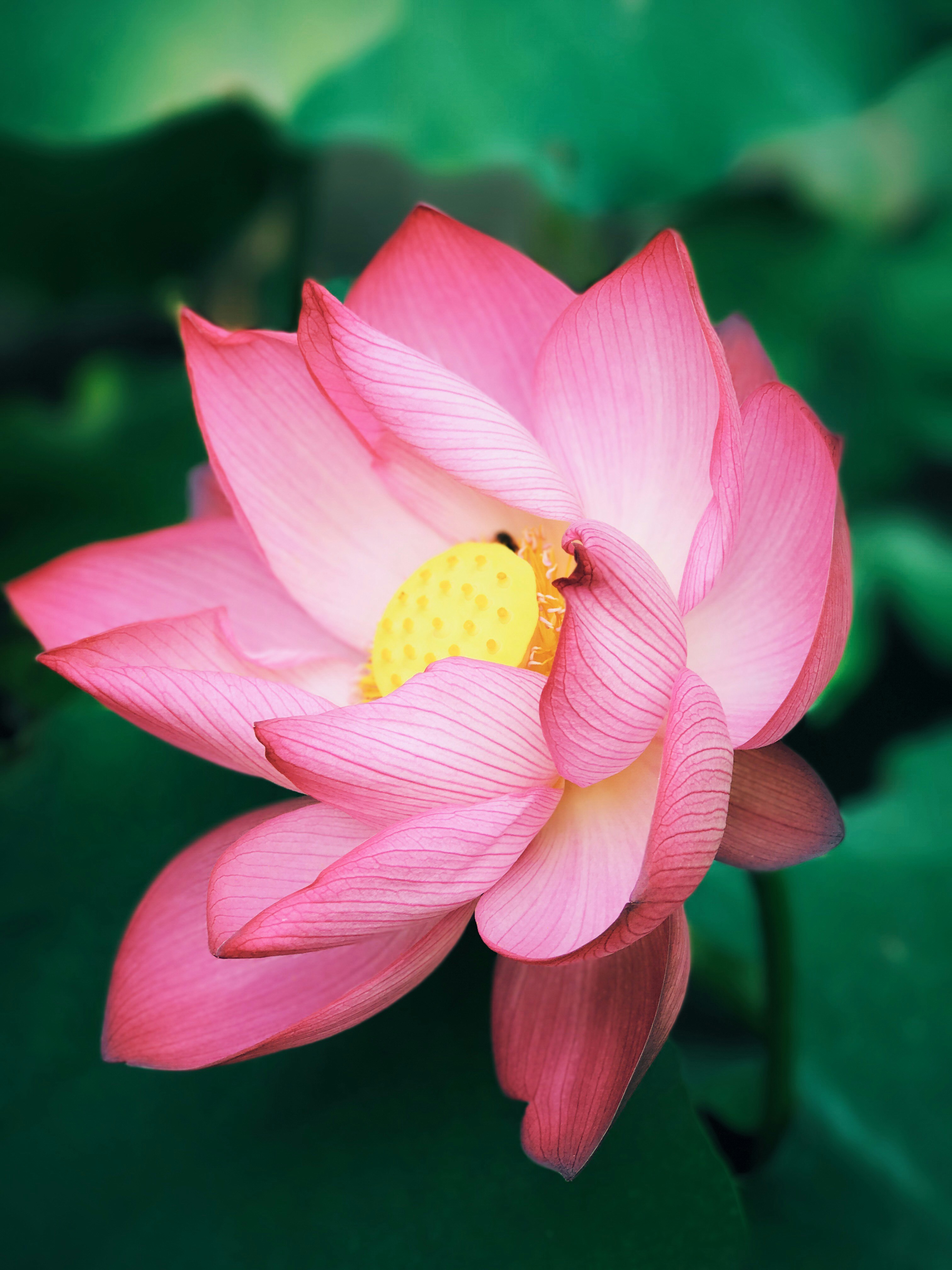 photo 1504599815 c2b12fe6be0b?ixlib=rb 4.0