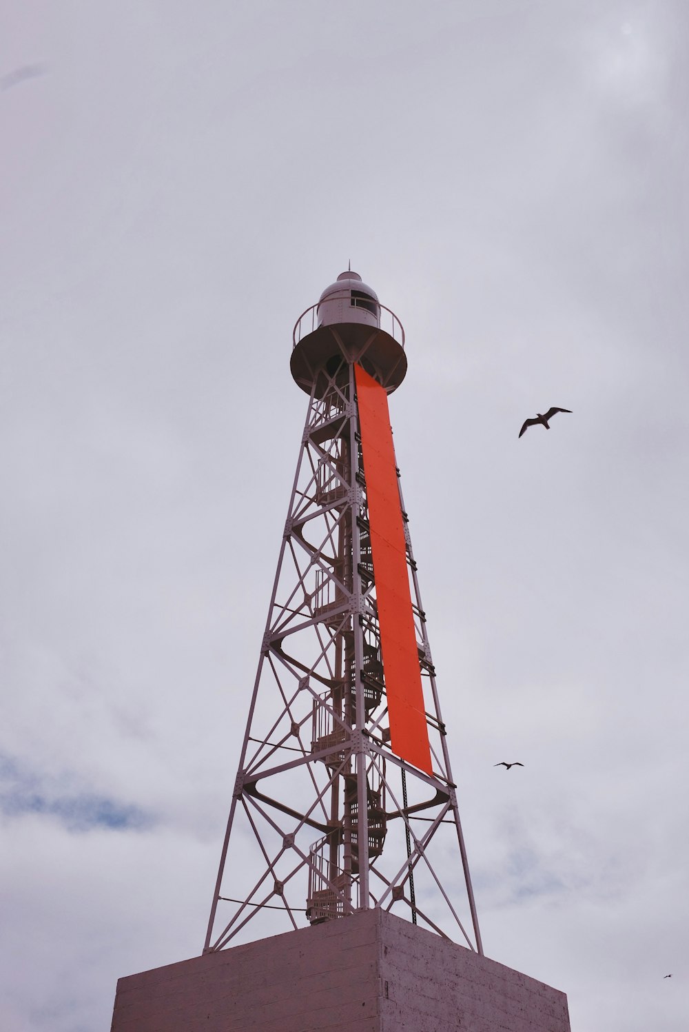 flock of birds flying over orange tower