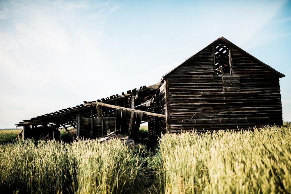 brown wooden barn surrounded green plants