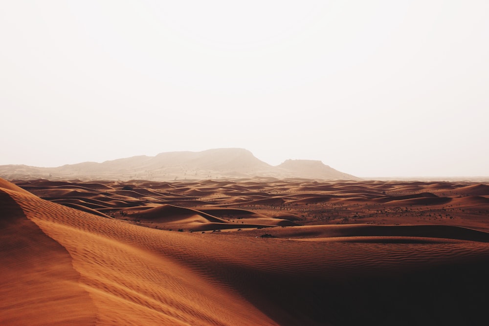 landscape photography of desert