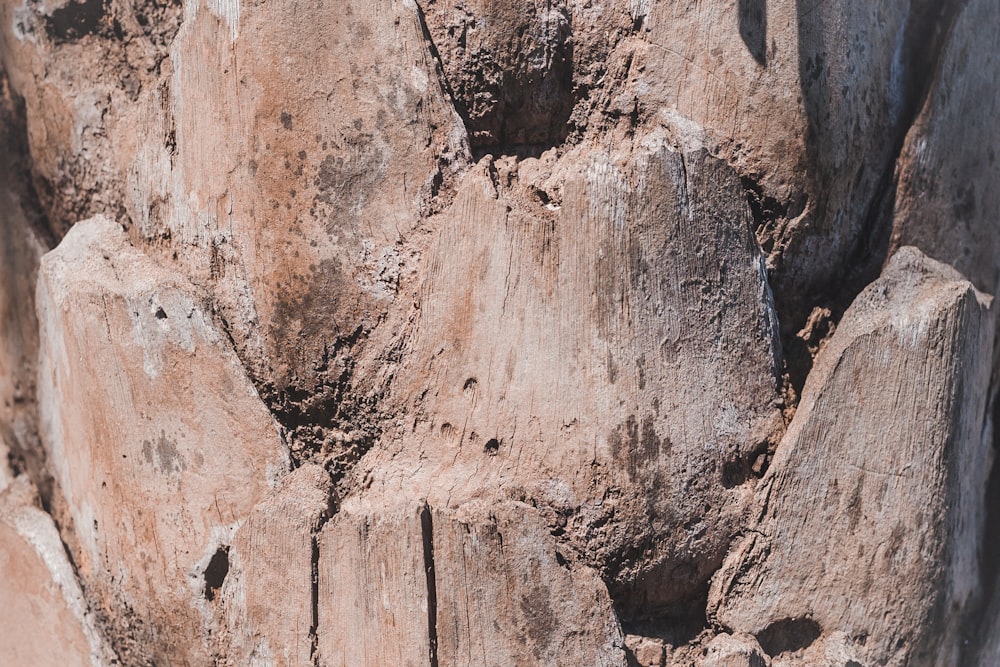 Fotografia di formazioni rocciose grigie