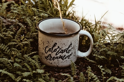 A speckled white mug with the words 'Colorado Dreamin' is nestled on a bed of green ferns, with a warm beverage being poured into it. The setting appears natural and serene, suggesting an outdoor environment.