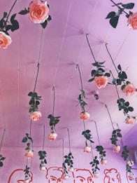 Pink roses hang upside down from the ceiling, creating a whimsical and artistic display. The ceiling and walls are painted in a soft pink shade, and there are minimalistic red line drawings of faces on the walls.