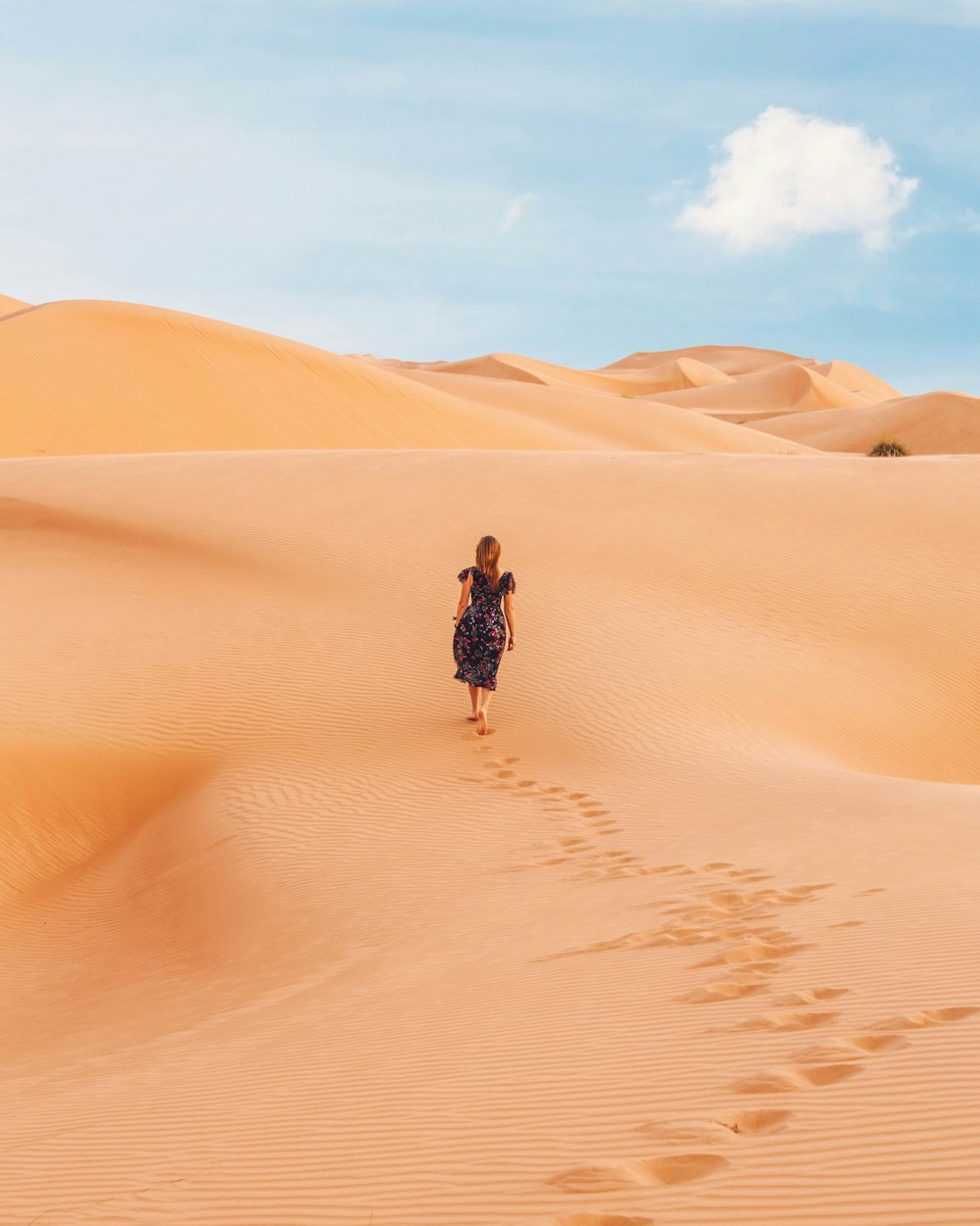 사막에서 걷는 여자