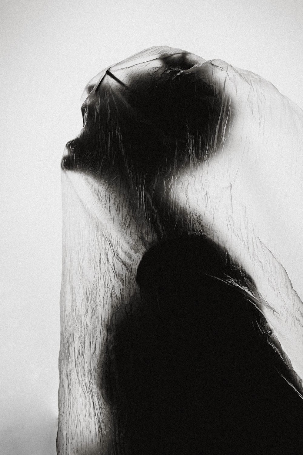 macro photography of person wrapped with clear plastic bag