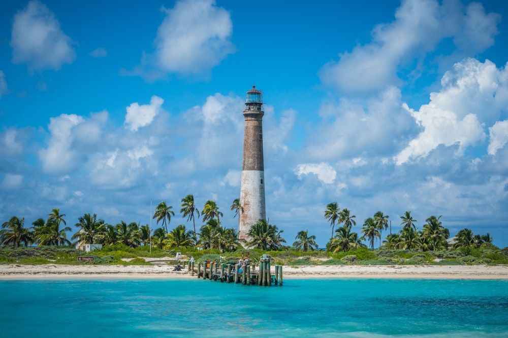 gray lighthouse near trees and sea