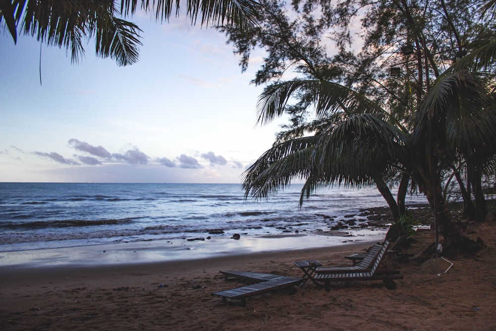 grey lounge chairs on beachside