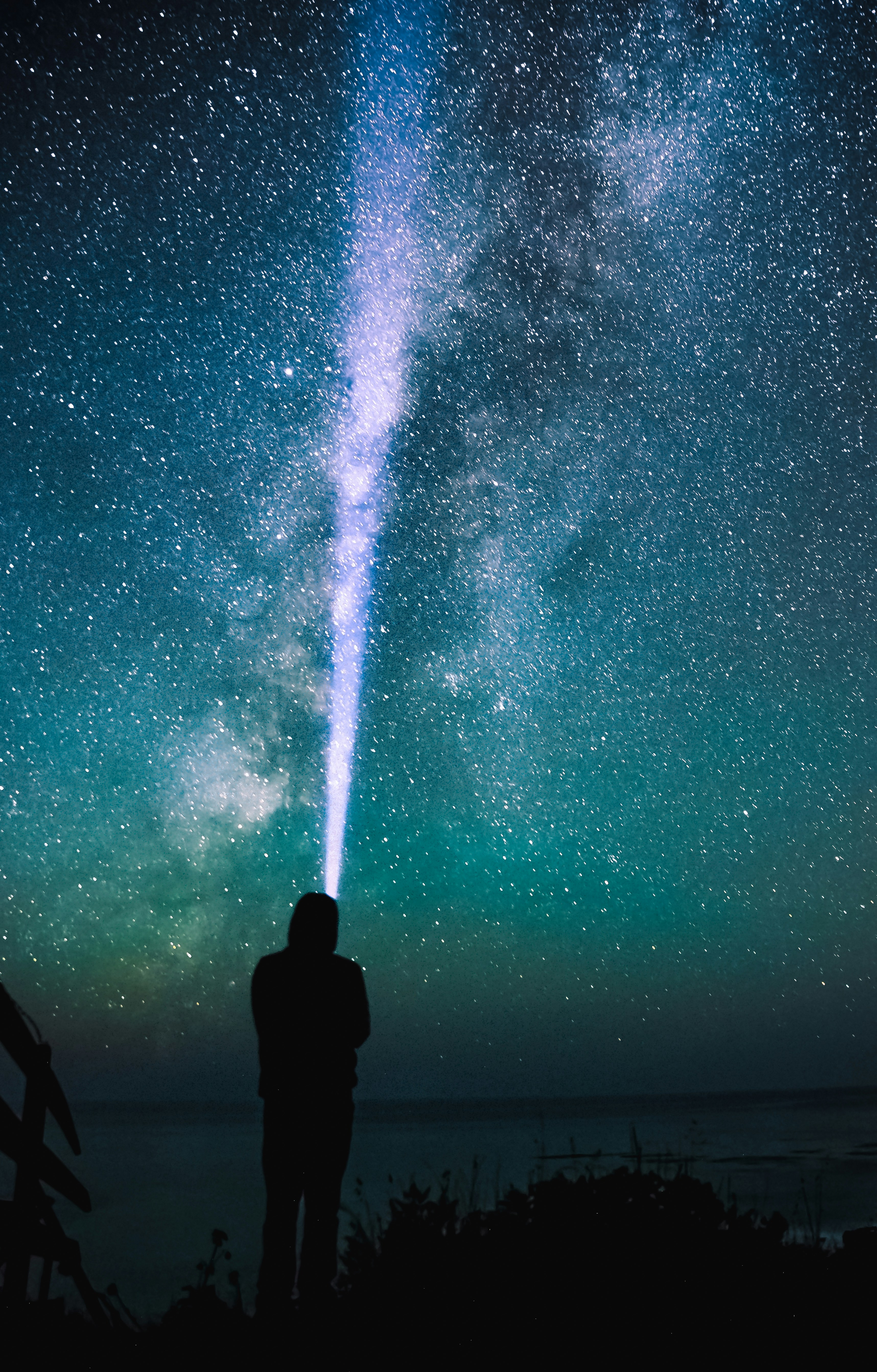 Photo by mischievous_penguins