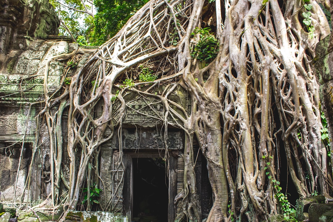 Hut photo spot Ta Phrom Abandoned Mini Temple Cambodia