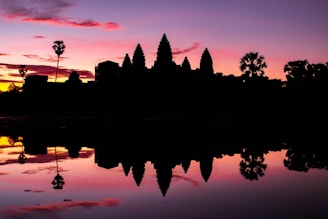 silhouette of trees and buildings