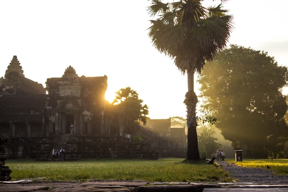 A local guide walking through the ancient stone temples of Angkor at sunrise, surrounded by lush jungle.