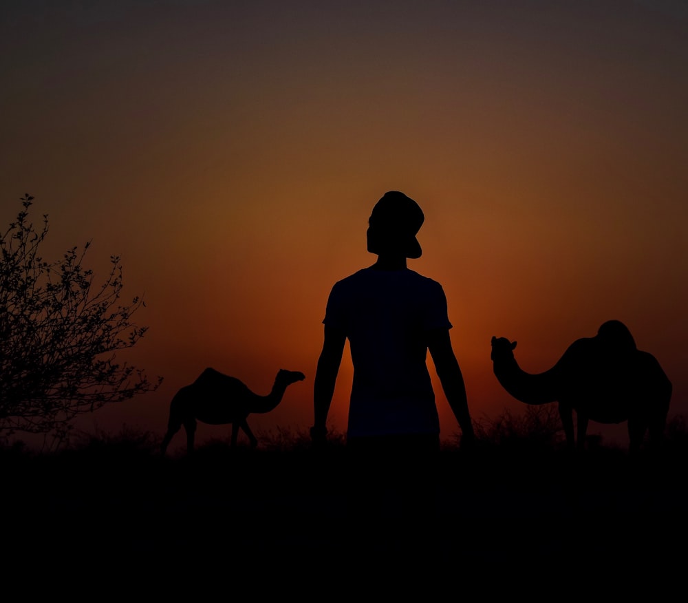 man near camel photo