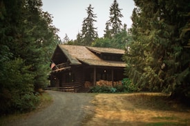A rustic log cabin is nestled within a dense forest, surrounded by tall evergreen trees. The cabin features a wooden porch and an American flag, with stacks of firewood visible beside it. A narrow dirt path leads up to the cabin, bordered by lush greenery.