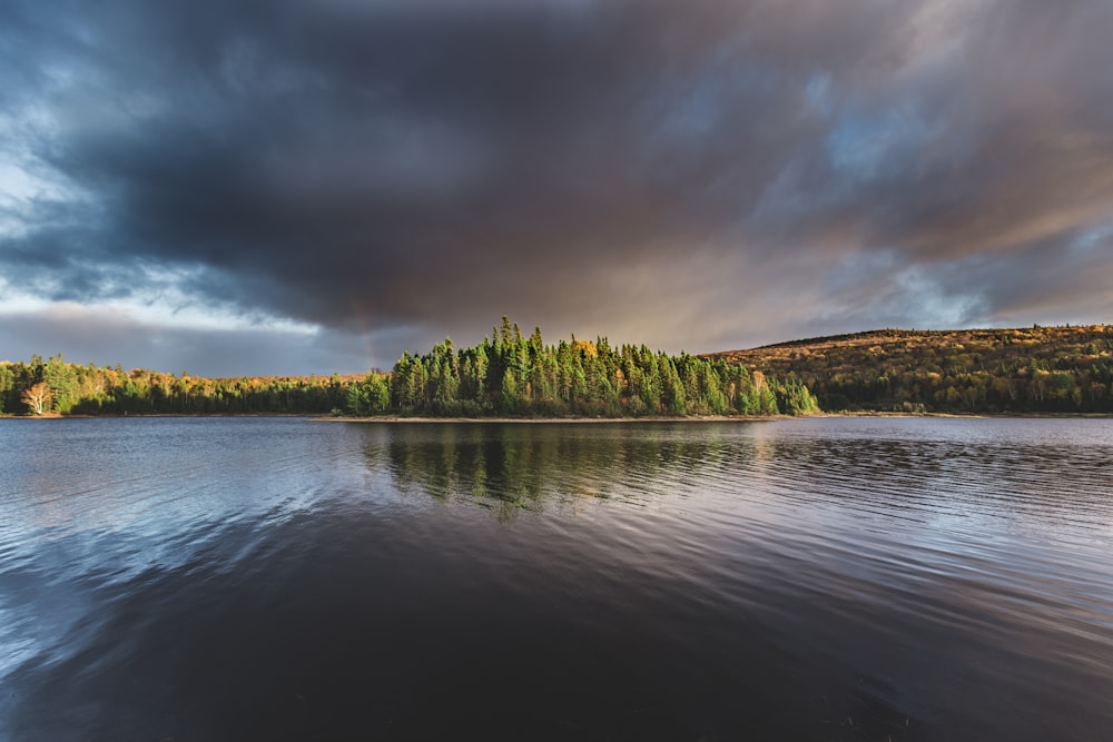 green forest island near calm body of water nature photography