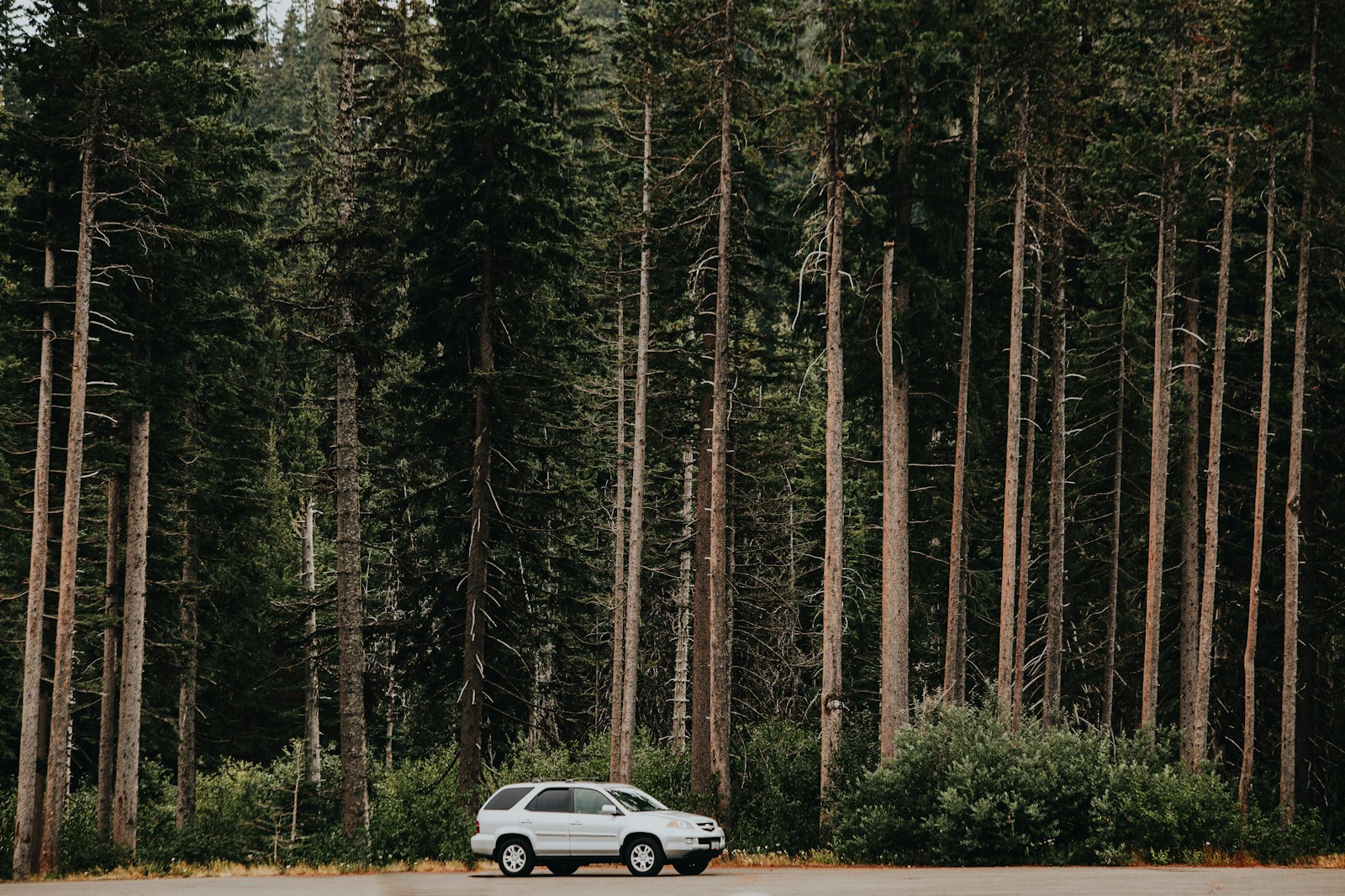 Canon EOS 6D + Canon EF 70-300mm F4-5.6 IS USM sample photo. White suv nearby trees photography