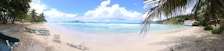 A picturesque beach with white sand and clear blue waters, bordered by lush green palm trees. There are multiple lounge chairs set up along the shore, and a building is visible in the background, surrounded by greenery.