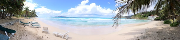 A picturesque beachfront property with palm trees and clear ocean water.