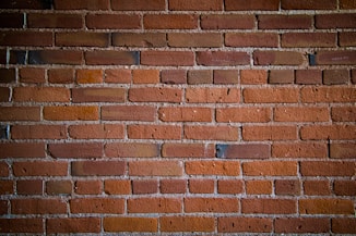 brown concrete bricked wall