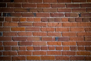 brown concrete bricked wall