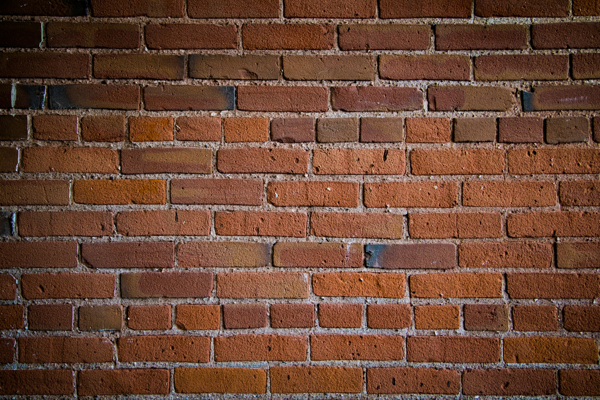 brown concrete bricked wall