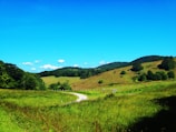 Rolling hills covered in lush green grass and scattered trees extend into the distance under a bright blue sky with a few small clouds. A winding dirt path cuts through the landscape, bordered by wooden fences.