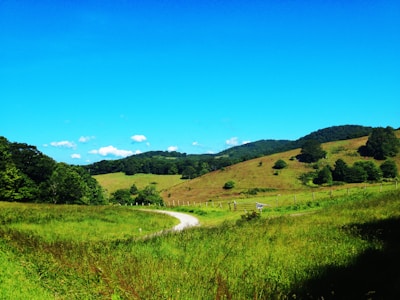 Rolling hills covered in lush green grass and scattered trees extend into the distance under a bright blue sky with a few small clouds. A winding dirt path cuts through the landscape, bordered by wooden fences.
