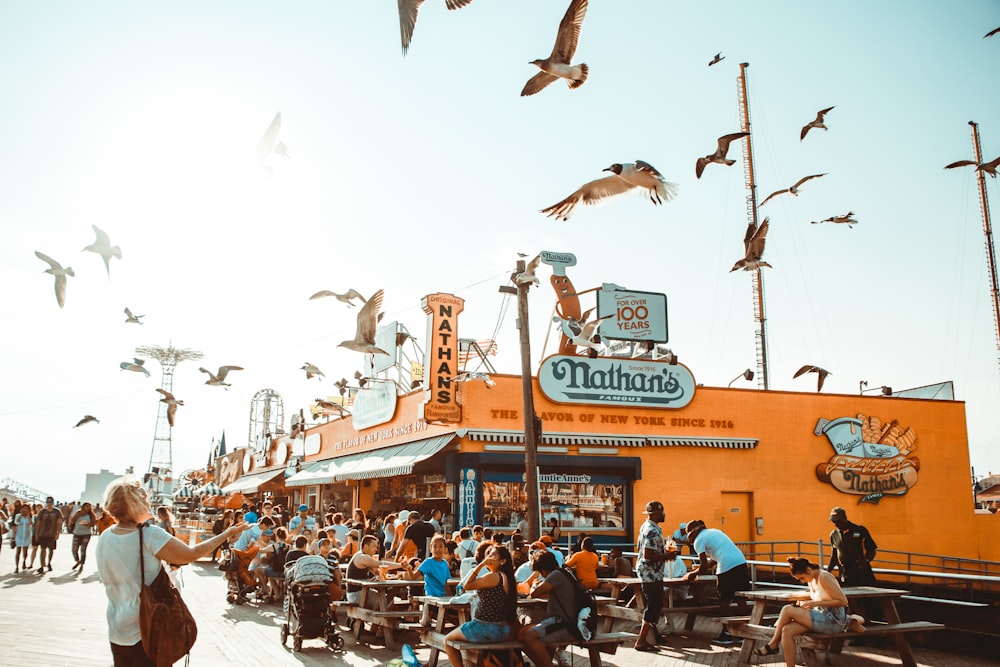 group of people watching flying birds outdoors